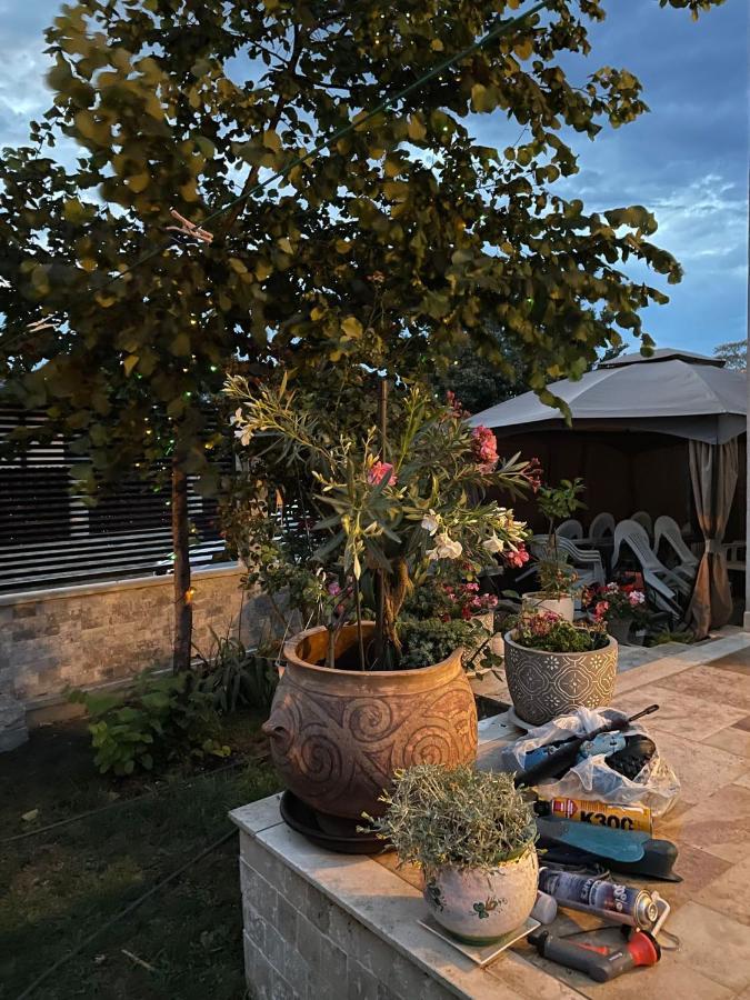 Отель Casa Adriana Эфорие-Суд Экстерьер фото